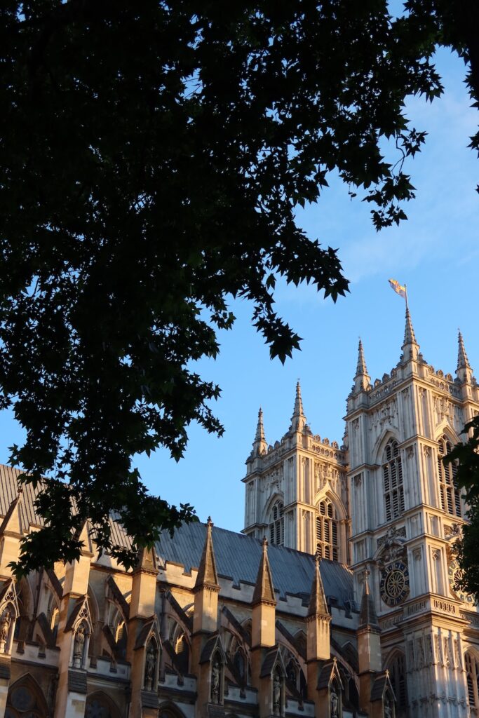 A gothic style building with tree branches in the foreground
